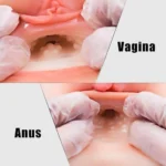 Deluxe Doggy Pose Booty Pussy And Ass Masturbator - Image 6